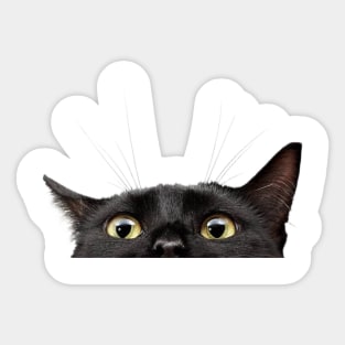 funny black cat hiding Sticker